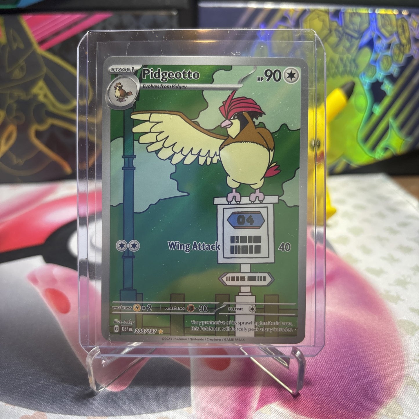 Pidgeotto 208/197 Obsidian Flames Illustration Rare Full Art Pokemon TCG NM